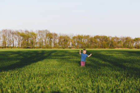 Joyful little cute child baby boy walk on green grass field wheat background, rest, have fun, play, run. Small kid son. Family summer day, 15 of may, love, good mood, parents, children conceptの写真素材