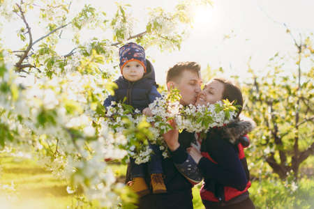 Joyful man, woman rest on nature hug, play, kiss with little cute child baby boy. Mother, father, little kid son on white flower tree background. Family day 15 of may, love, parents, children conceptの写真素材