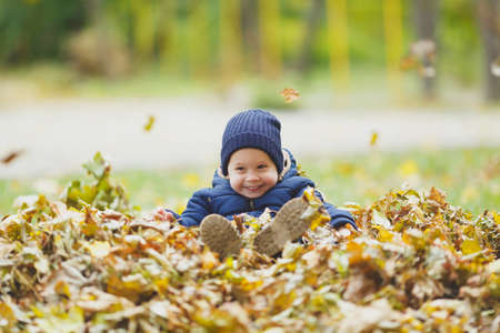 Little cute child baby boy walk in fall park, sitting in pile of leaves, toss throw up dry yellow autumn leaves. Small kid son rest. Parenthood, family day 15 of may, love, parents, children conceptの写真素材