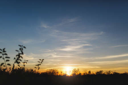 Landscape beautiful bright warm orange sunset in field meadow with silhouettes of bushes and trees in evening. Wonderful picture of natural world and environment, calm, relaxation concept.の写真素材