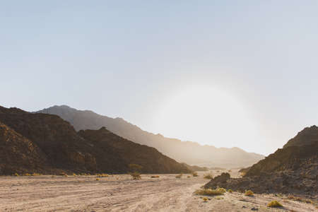 Beautiful nature landscape. A unpaved road with bushes and sand mountains in the middle of a hot desert on a sunny day.の写真素材