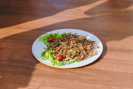 A delicious dish prepared from the ingredients of insects fried worms, lettuce leaves, cherry tomatoes, ready for use on a round white glass plate on wooden table. Cookery, taste preferences.の写真素材