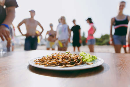 A delicious dish prepared from the ingredients of insects fried worms, lettuce leaves ready for eating on round white glass plate on wooden table next to which are people. Cookery, taste preferences.の写真素材