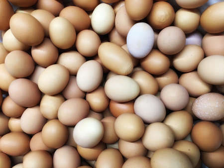 Texture backdrop background Group of round, oval, oblong chicken eggs of high quality white, beige, brown, pastel colorsの写真素材