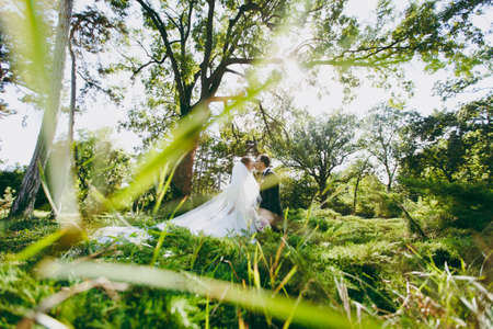 Beautiful wedding photosession. The groom in a black suit and his bride in a white lace dress with long plume, veil and bouquet kissing near the trees in large green garden on weathery sunny day.の写真素材