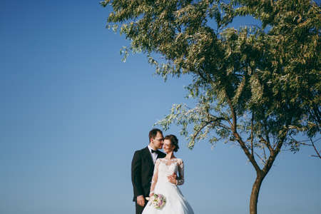 Beautiful wedding photosession. Handsome groom in a black suit and young bride in white lace dress with exquisite hairstyle on walk around the field against the sky and tall tree.の写真素材