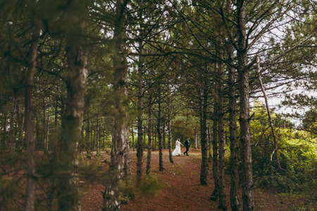Beautiful wedding photosession. Handsome groom in blue formal suit and bow tie with boutonniere and his elegant bride in white dress and veil with a beautiful hairdress on a walk in coniferous forest.の写真素材