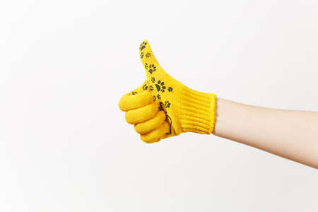 Close up of female hand in building yellow gloves showing thumb up isolated on white background. Accessories for renovation apartment room. Repair home concept. Copy space for advertisementの写真素材