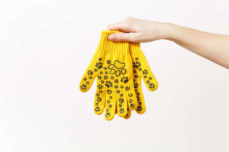 Close up of female hand horizontal holds building yellow gloves with fun print isolated on white...