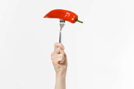 Close up female holds in hand red fresh red hot chili pepper on fork isolated on white background.
