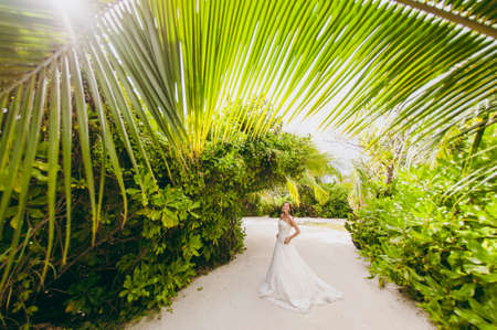 The beautiful bride on an island in palmsの写真素材