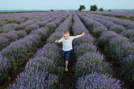 Playful little cute child baby boy walk on purple lavender flower meadow field background, run, have fun, play, enjoy. Joyful small kid son. Family day, kids, children, childhood, lifestyle conceptの写真素材