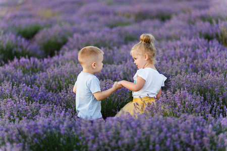 Playful little cute couple boy girl walk on purple lavender flower meadow field background, have fun, play, enjoy good sunny day. Excited small kids. Family day, children, childhood lifestyle conceptの写真素材