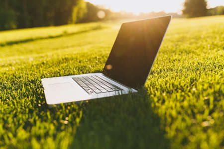Close up laptop pc computer with blank black empty screen to copy space in park on vibrant spring...