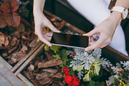Close up female hands take picture on mobile phone with blank empty screen. Nature texture background. Design concept. Copy space, mock up sample. Advertising area. Overhead top view mockupの写真素材
