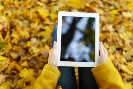 The woman in a yellow coat is sitting on the ground holding a tablet in the background against a yellow autumn maple leaves. Top view.の写真素材
