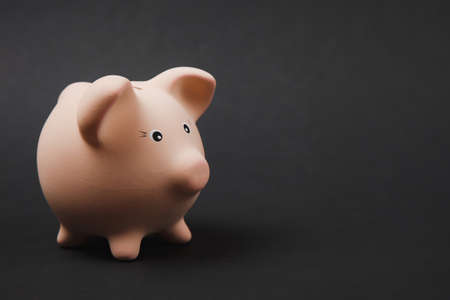 Close up photo of pink piggy money bank isolated on black wall background. Money accumulation, investment, banking or business services, wealth concept. Copy space advertising mock upの写真素材