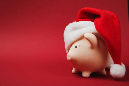 Side view of pink piggy money bank with Christmas hat isolated on bright red background. Money accumulation, investment, banking or business services, wealth concept. Copy space advertising mock upの写真素材