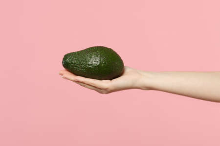 Close up cropped photo of female hold in hand fresh ripe green avocado fruit isolated on pink pastel wall background. Copy space advertising mock up. People vivid lifestyle, relax vacation conceptの写真素材