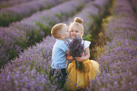 Playful little cute couple boy girl walk on purple lavender flower meadow field background, have fun, play, enjoy good sunny day. Excited small kids. Family day, children, childhood lifestyle conceptの写真素材