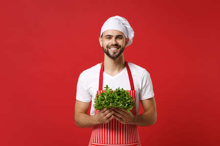 Smiling young bearded male chef cook or baker man in striped apron white t-shirt toque chefs hat isolated on red background. Cooking food concept. Mock up copy space. Holding green fresh salad leaves.の写真素材