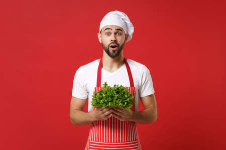 Shocked young bearded male chef cook or baker man in striped apron white t-shirt toque chefs hat isolated on red background. Cooking food concept. Mock up copy space. Holding green fresh salad leaves.の写真素材