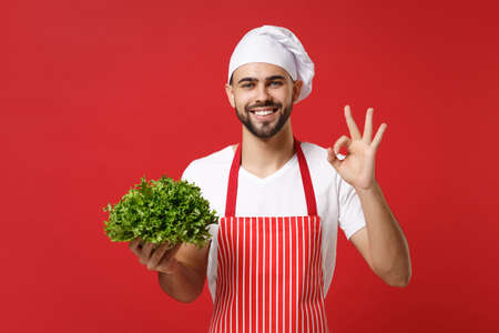 Smiling chef cook or baker man in striped apron white t-shirt toque chefs hat isolated on red background. Cooking food concept. Mock up copy space. Holding green fresh salad leaves showing OK gesture.の写真素材