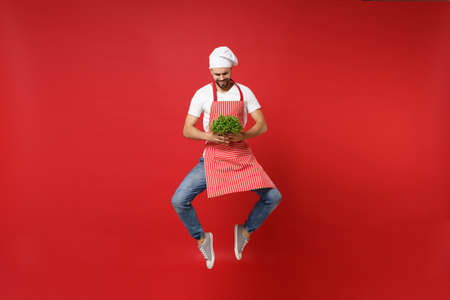 Cheerful young chef cook or baker man in striped apron toque chefs hat isolated on red background. Cooking food concept. Mock up copy space. Jumping, holding green fresh salad leaves, fooling around.の写真素材