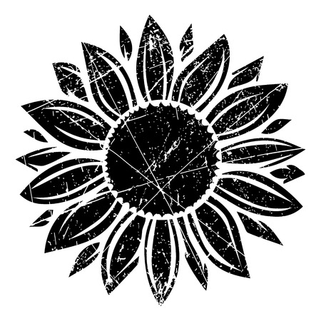 Grunge sunflower vector illustration in black colorのイラスト素材