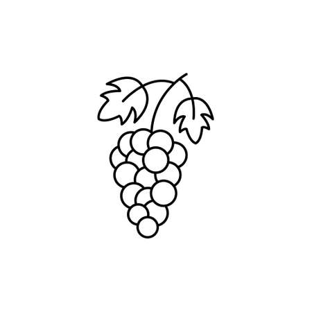 Grapes icon vector isolated illustrationのイラスト素材