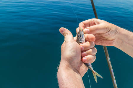 Rod fishing in the Black sea. The Bay Of Balaklava. Sardines are biting on a bare hook.