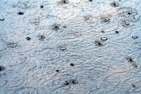 Raindrops in a puddle, rainy cloudy day
