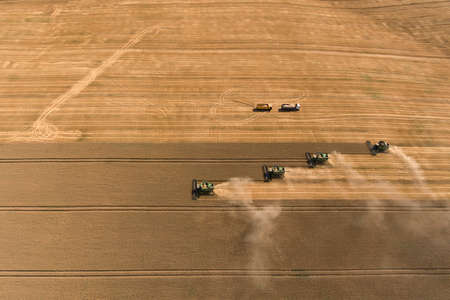 Harvester harvest ripe wheat shooting from a drone の写真素材
