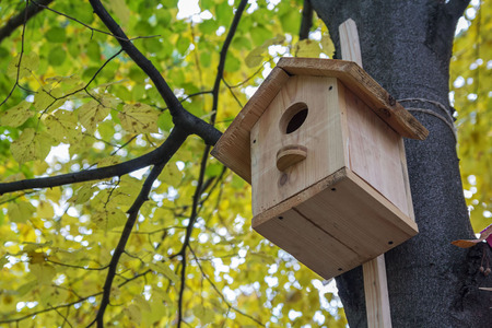 Wooden birdhouse on the avenue autumn park