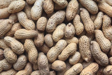 Pile of cashew nuts in the skin close-up. Backgrounds and texturesの写真素材