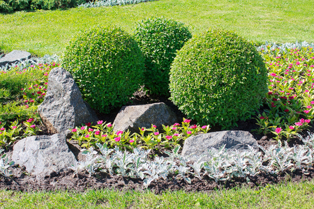 Park with bushes and stones. Landscape designの写真素材