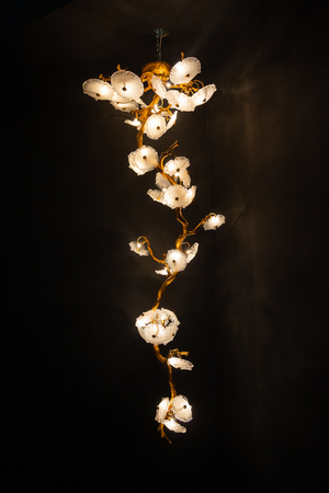 Beautiful luxurious chandelier in the form of flowers on a black background. Interiorsの写真素材