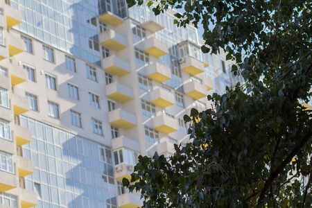 Detail of the facade of a multistory building and a tree. Buildingの写真素材