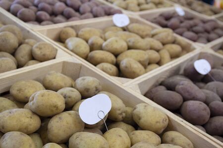Selected potato tubers on store counter. Vegetablesの写真素材