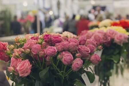 Beautiful roses on sale in the flower shopの写真素材