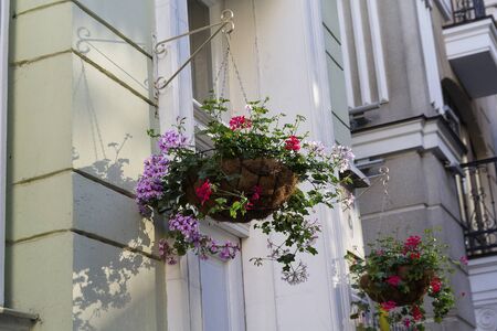 Hanging baskets of flowers on the wall of a buildingの写真素材