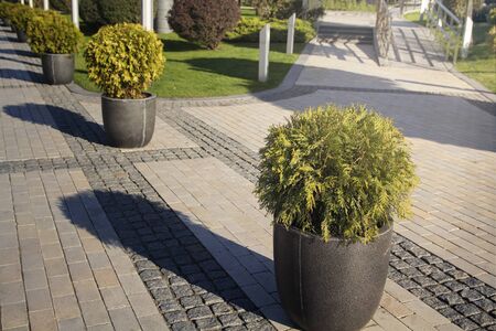 Beautiful flower beds of stone pots city street on a summer dayの写真素材