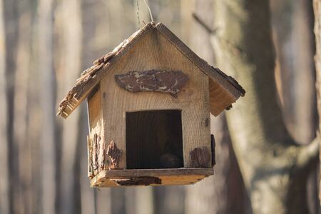 Homemade wooden bird feed in the parkの写真素材