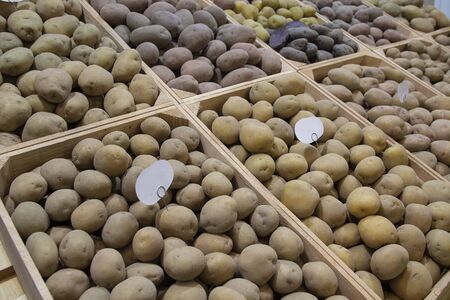 Selected potato tubers on store counter. Vegetablesの写真素材