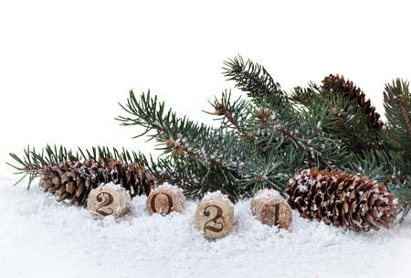 Bottle cork, pine and cones isolated on a white backgroundの写真素材