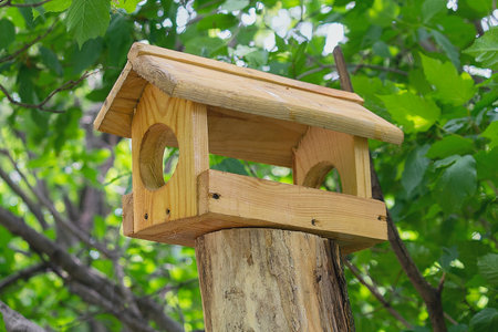 Wooden birdhouse for birds on a tree in the park close-upの写真素材