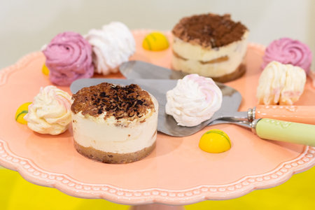 Delicious tiramisu cakes on a plate. Dessertの写真素材