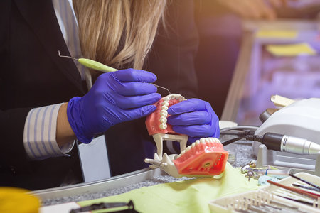 Dentist is working on facial dental prosthetic. Health and medicineの写真素材