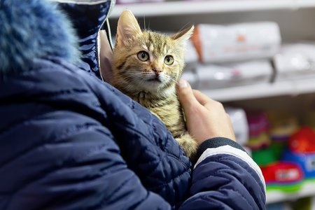 Rescue of homeless sick animals - kitten in the hands of a new owner. Animal shelterの写真素材