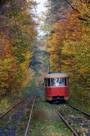 Red tram traveling in the tunnel of autumn trees. Kyiv, Ukraineの写真素材